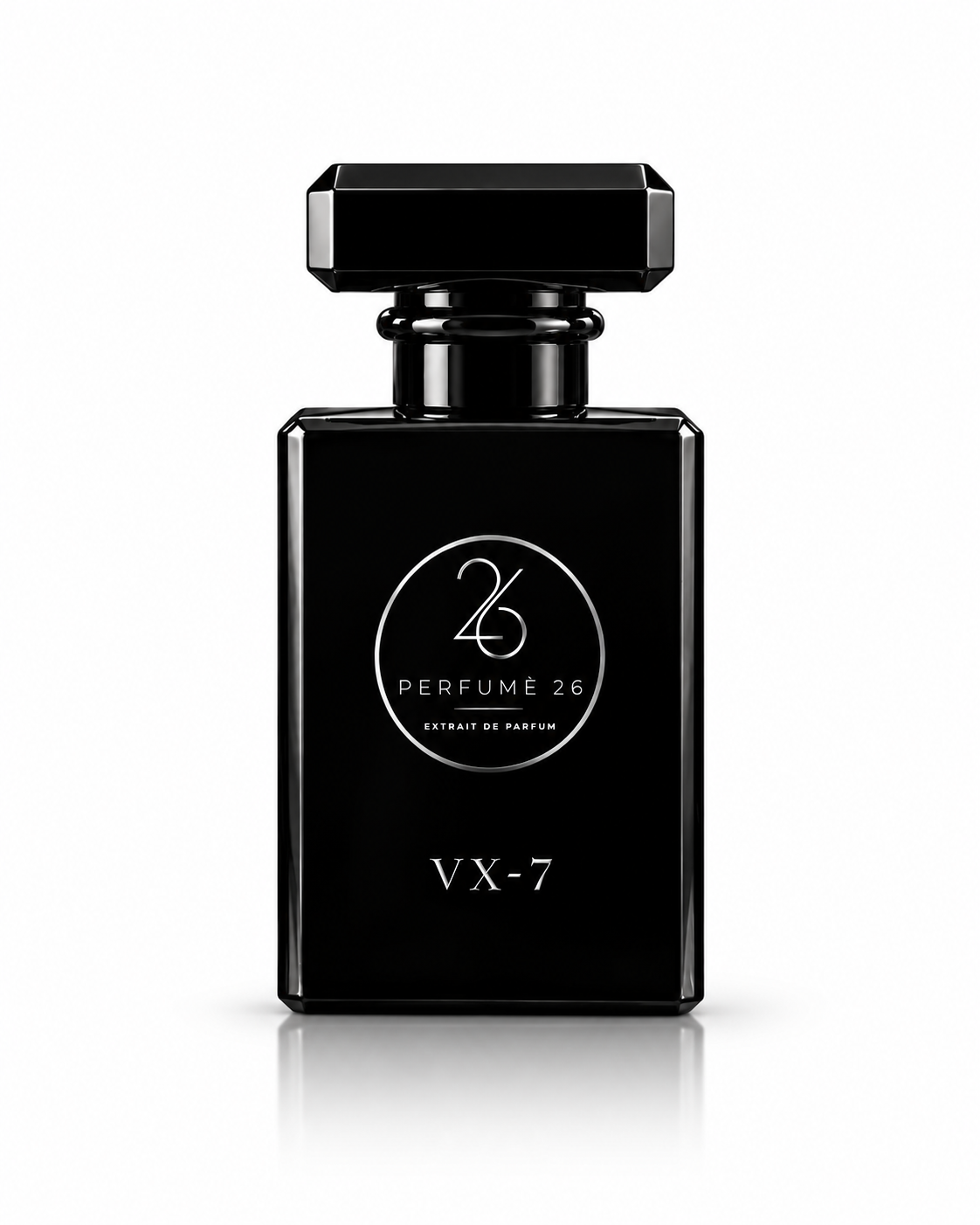 VX-7                                 Inspired by Paco Rabanne 1 Million